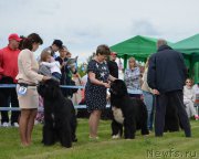 Превью фото № 226215