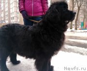 Превью фото № 226230