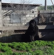 Превью фото № 226258