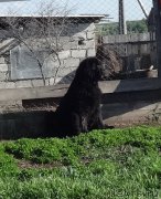 Превью фото № 226270