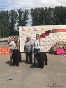 Превью фото № 226289