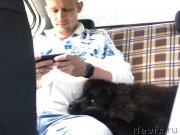 Превью фото № 226295