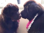 Превью фото № 226319