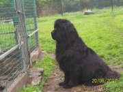 Превью фото № 226324