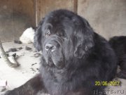 Превью фото № 226326