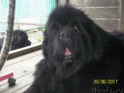 Превью фото № 226328