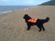 Превью фото № 226354