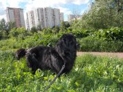 Превью фото № 226411