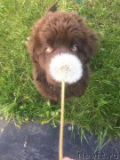 Превью фото № 226413