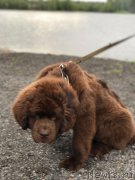 Превью фото № 226420