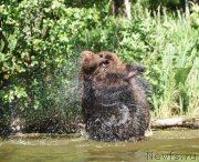 Превью фото № 226428