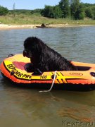 Превью фото № 226436