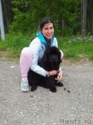 Превью фото № 226439