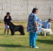 Превью фото № 226441