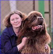 Превью фото № 226452