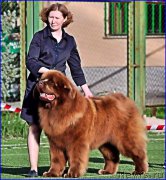 Превью фото № 226453