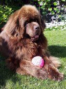 Превью фото № 226470