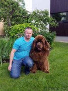 Превью фото № 226471