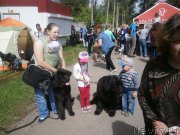 Превью фото № 226483