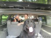 Превью фото № 226485