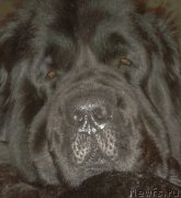 Превью фото № 226500