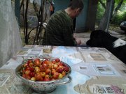 Превью фото № 226519