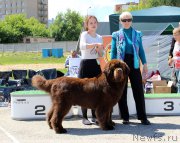 Превью фото № 226576