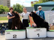 Превью фото № 226578