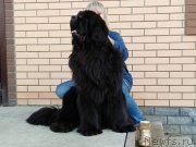 Превью фото № 226634