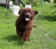 Превью фото № 226666