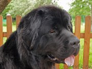 Превью фото № 226676