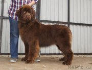 Превью фото № 226680