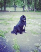 Превью фото № 226693