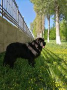 Превью фото № 226695