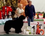 Превью фото № 226700