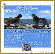 Превью фото № 226715