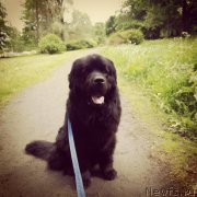 Превью фото № 226725