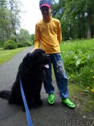 Превью фото № 226727