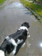 Превью фото № 226791