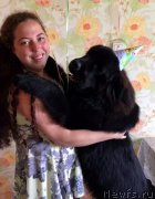 Превью фото № 226793