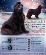 Превью фото № 226794