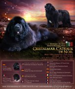 Превью фото № 226795