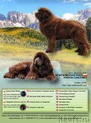 Превью фото № 226797