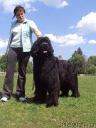 Превью фото № 226811