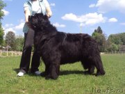 Превью фото № 226812