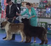 Превью фото № 226836