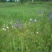 Превью фото № 226845