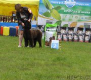 Превью фото № 226853