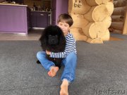 Превью фото № 226862