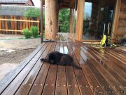 Превью фото № 226863